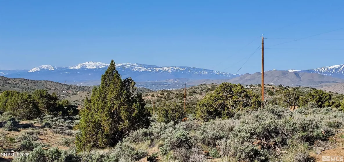 500 Curnow Canyon, Reno, Nevada 89510, ,Land,Residential,Curnow Canyon,250050412