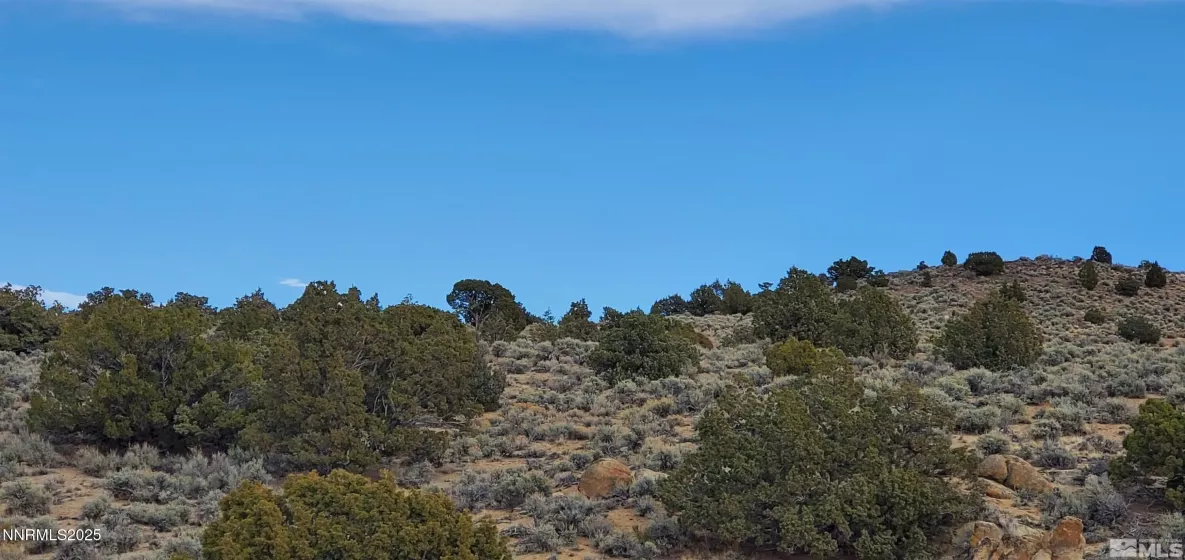 500 Curnow Canyon, Reno, Nevada 89510, ,Land,Residential,Curnow Canyon,250050412