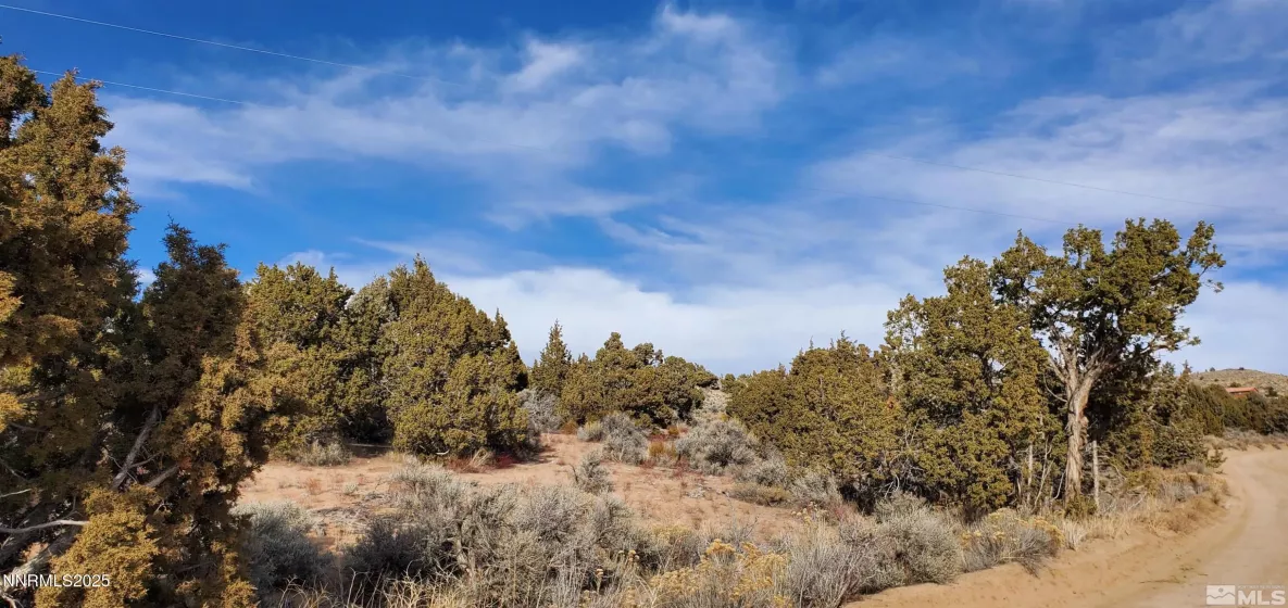 500 Curnow Canyon, Reno, Nevada 89510, ,Land,Residential,Curnow Canyon,250050412