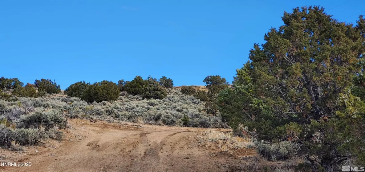 500 Curnow Canyon, Reno, Nevada 89510, ,Land,Residential,Curnow Canyon,250050412