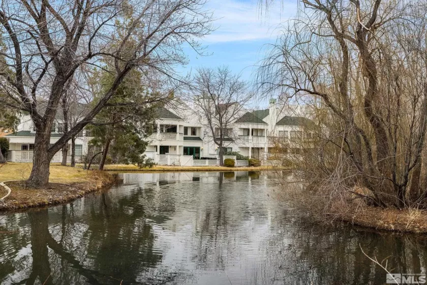 6350 Green Ranch, Reno, Nevada 89519, 3 Bedrooms Bedrooms, ,3 BathroomsBathrooms,Residential,Residential,Green Ranch,250002141