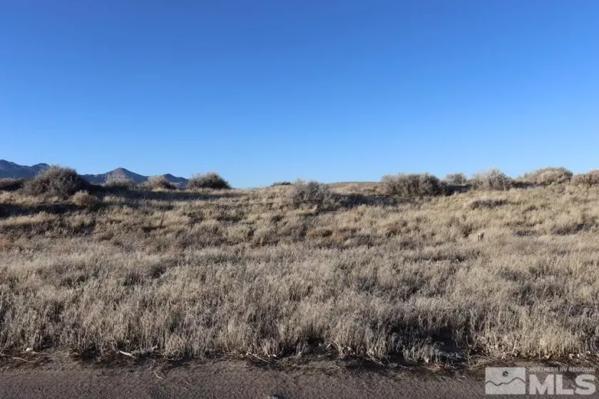 3560 Georgia, Winnemucca, Nevada 89445, ,Land,Residential,Georgia,250001588