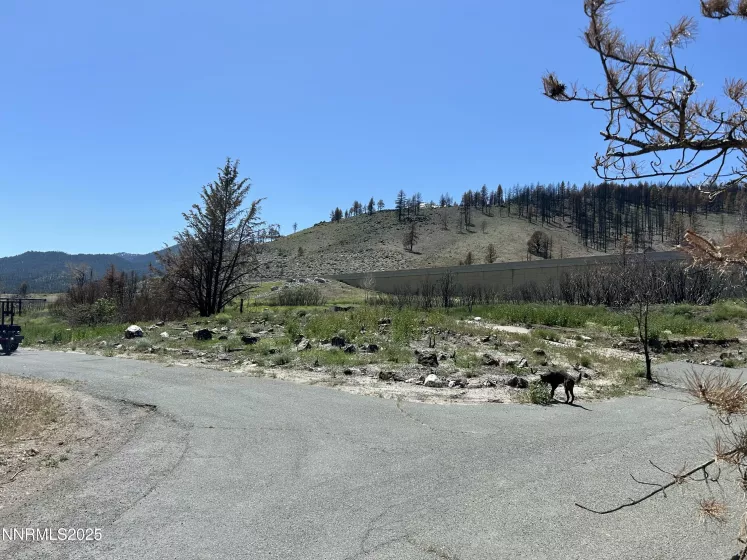 815 Old US Hwy 395, Washoe Valley, Nevada 89704, ,Land,Residential,Old US Hwy 395,250050472