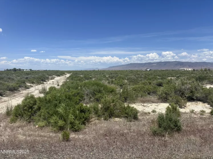 1565 William Harrison, Battle Mountain, Nevada 89820, ,Land,Residential,William Harrison,250050524