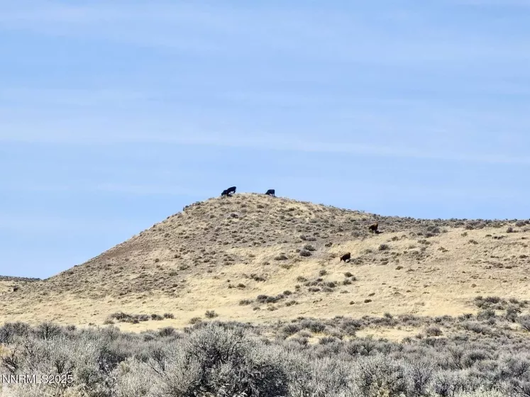 0 Blue Mountain, Winnemucca, Nevada 89445, ,Land,Residential,Blue Mountain,250050525