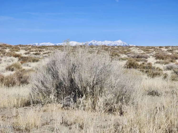 0 Blue Mountain, Winnemucca, Nevada 89445, ,Land,Residential,Blue Mountain,250050525