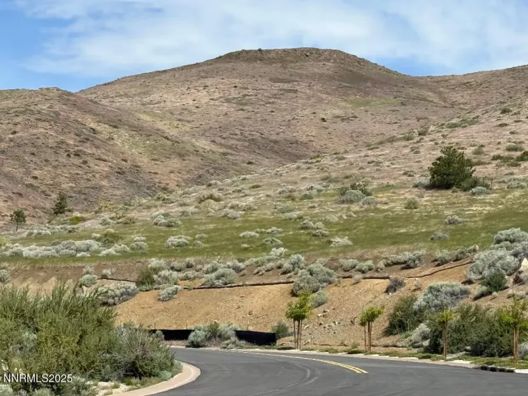 2380 Eagle Bend, Reno, Nevada 89523, ,Land,Residential,Eagle Bend,250050478