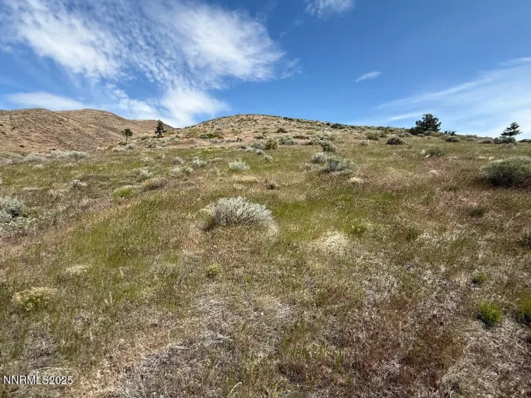 2380 Eagle Bend, Reno, Nevada 89523, ,Land,Residential,Eagle Bend,250050478