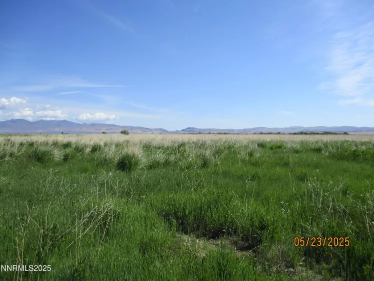 11855 Shelton, Paradise Valley, Nevada 89426, 3 Bedrooms Bedrooms, ,2 BathroomsBathrooms,Farm & Ranch,Residential,Shelton,250050485