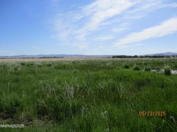 11855 Shelton, Paradise Valley, Nevada 89426, 3 Bedrooms Bedrooms, ,2 BathroomsBathrooms,Farm & Ranch,Residential,Shelton,250050485