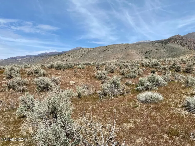 12240 Pershing, Lovelock, Nevada 89419, ,Land,Residential,Pershing,250050506