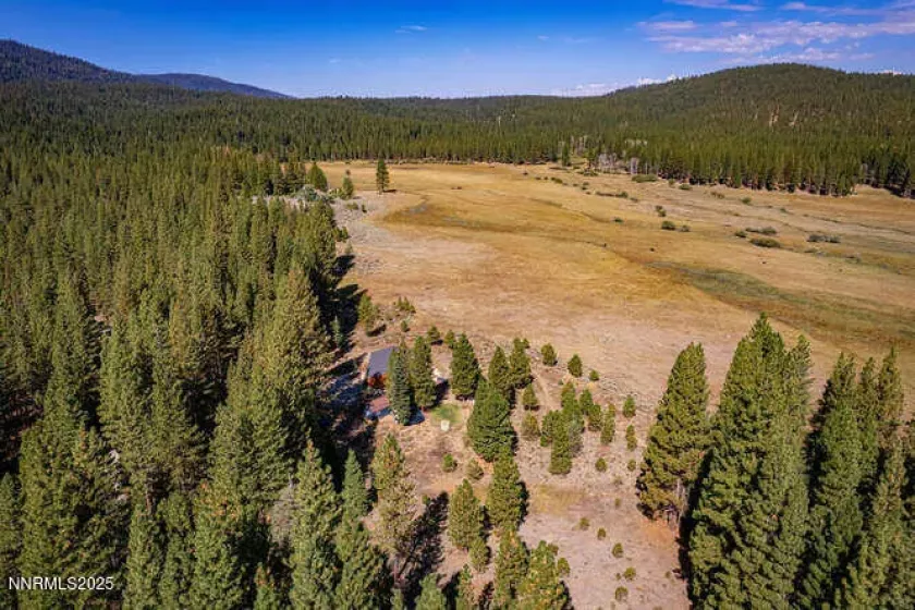 1015 Mountain Quail, Calpine, California 96124, 4 Bedrooms Bedrooms, ,3 BathroomsBathrooms,Residential,Residential,Mountain Quail,250050516
