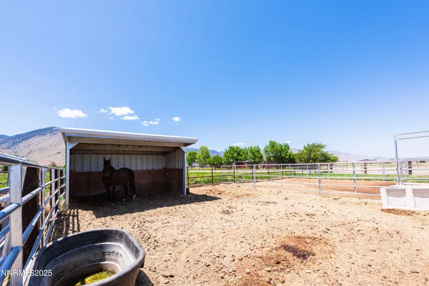 540 Upper Colony, Smith Valley, Nevada 89444, 5 Bedrooms Bedrooms, ,3 BathroomsBathrooms,Residential,Residential,Upper Colony,250050553