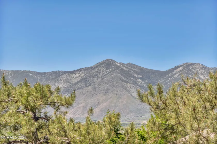 1340 Santa Cruz, Minden, Nevada 89423, 4 Bedrooms Bedrooms, ,3 BathroomsBathrooms,Residential,Residential,Santa Cruz,250050555
