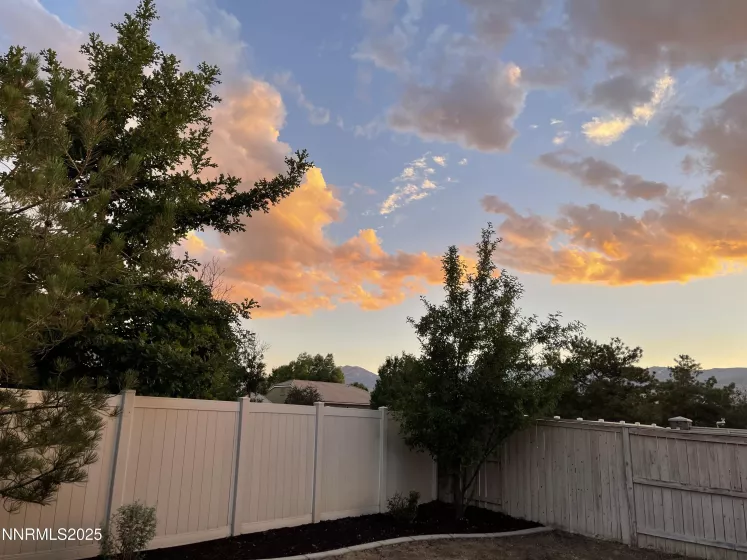 Sunset @ Backyard