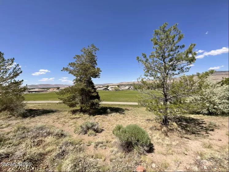 6367 Rey Del Sierra, Sparks, Nevada 89436, ,Land,Residential,Rey Del Sierra,250050565