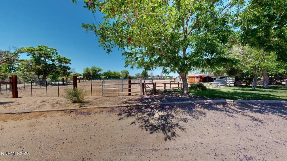 1555 Allen, Fallon, Nevada 89406, 4 Bedrooms Bedrooms, ,2 BathroomsBathrooms,Residential,Residential,Allen,250050569