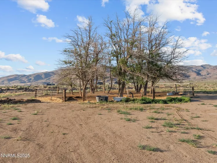 4555 Amy, Reno, Nevada 89510, 3 Bedrooms Bedrooms, ,2 BathroomsBathrooms,Residential,Residential,Amy,250050589