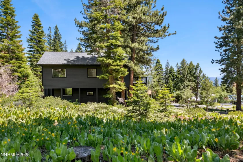 997 Dorcey, Incline Village, Nevada 89451, 4 Bedrooms Bedrooms, ,3 BathroomsBathrooms,Residential,Residential,Dorcey,250050591