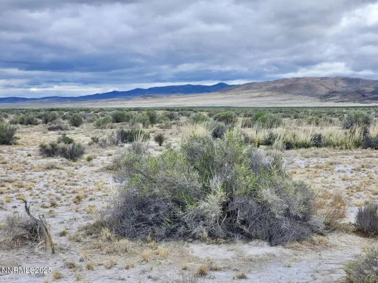 0 Martin, Crescent Valley, Nevada 89821, ,Land,Residential,Martin,250050598
