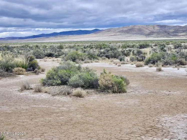 0 Martin, Crescent Valley, Nevada 89821, ,Land,Residential,Martin,250050598