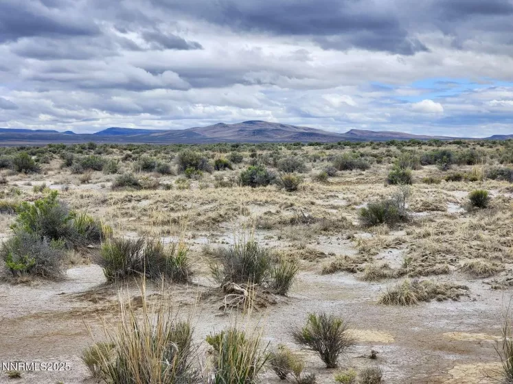 0 Martin, Crescent Valley, Nevada 89821, ,Land,Residential,Martin,250050598