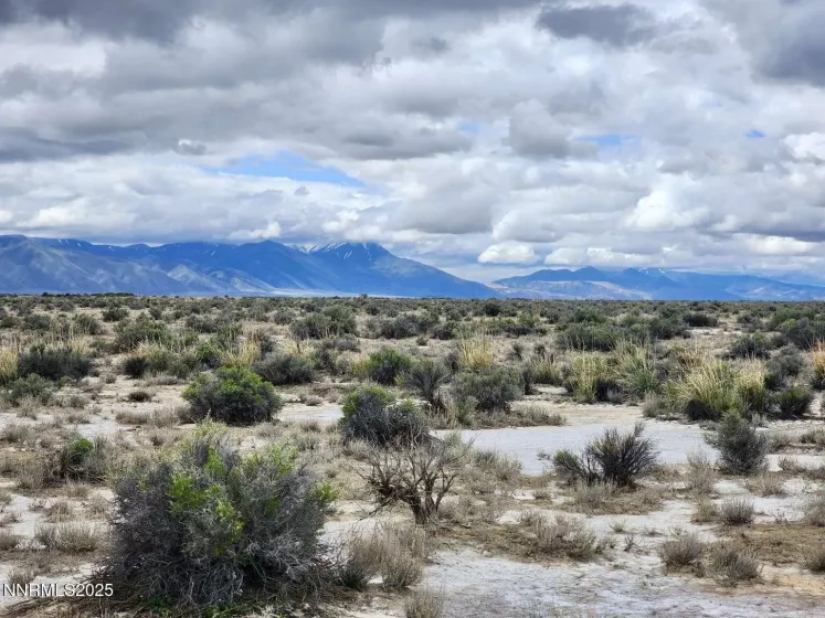 0 Martin, Crescent Valley, Nevada 89821, ,Land,Residential,Martin,250050598