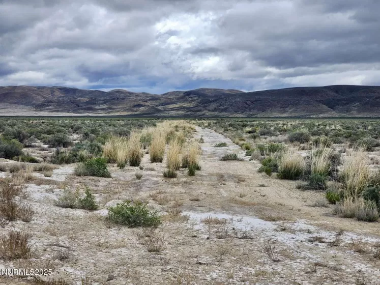0 Martin, Crescent Valley, Nevada 89821, ,Land,Residential,Martin,250050598
