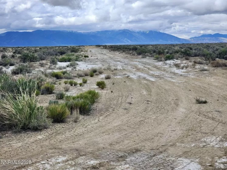 0 Martin, Crescent Valley, Nevada 89821, ,Land,Residential,Martin,250050598