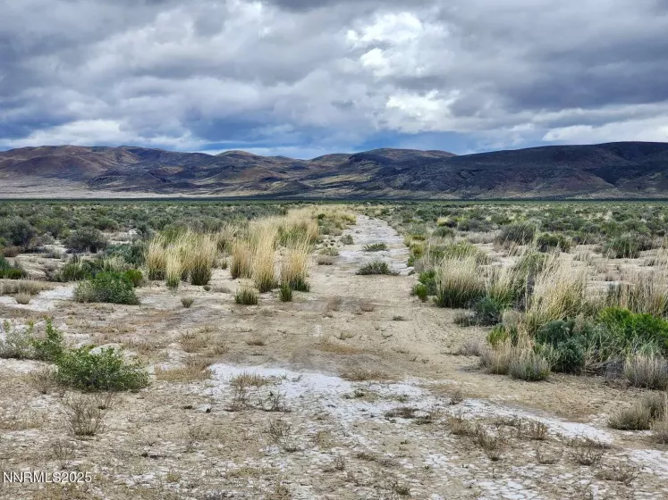 0 Martin, Crescent Valley, Nevada 89821, ,Land,Residential,Martin,250050598