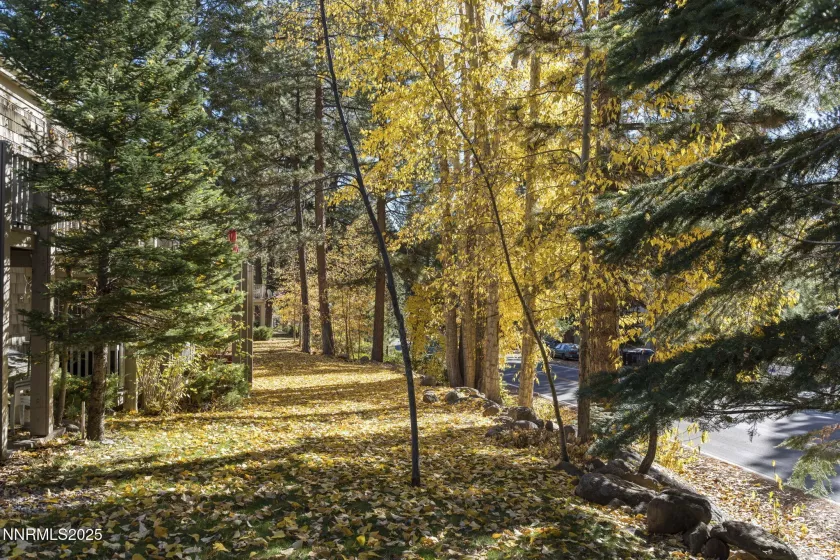 810 Alder, Incline Village, Nevada 89451, 2 Bedrooms Bedrooms, ,1 BathroomBathrooms,Residential,Residential,Alder,250050611