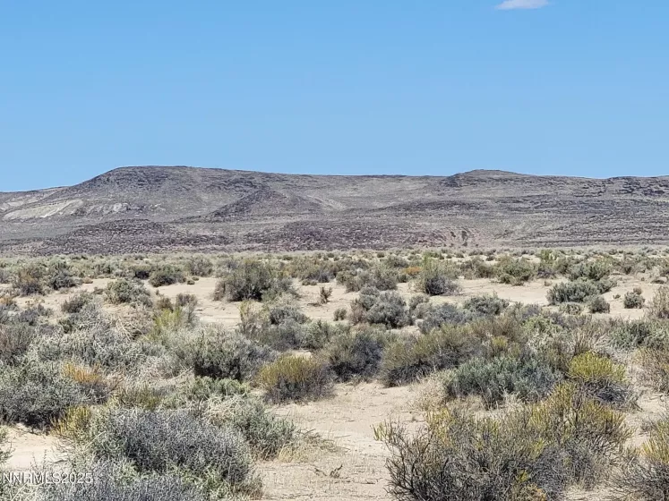5590 3rd St, Silver Springs, Nevada 89429, ,Land,Residential,3rd St,250050617