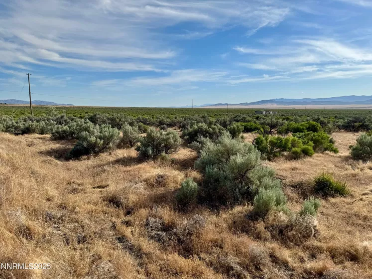 21995 Callaway, Lovelock, Nevada 89419, ,Land,Residential,Callaway,250050624