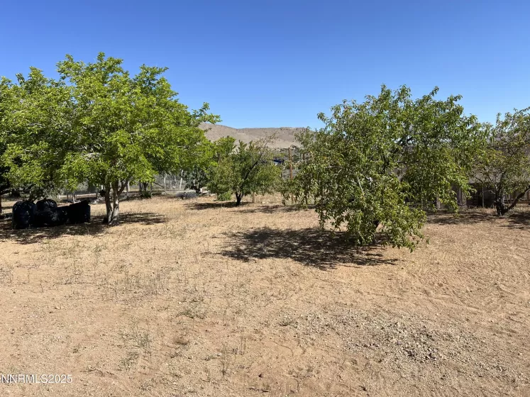 7650 Marie, Sparks, Nevada 89436, 6 Bedrooms Bedrooms, ,4 BathroomsBathrooms,Residential,Residential,Marie,250050625