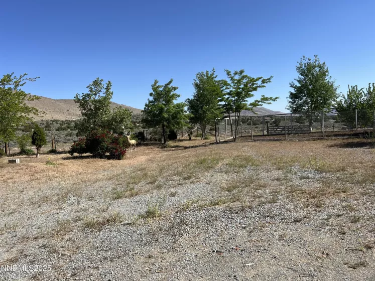 7650 Marie, Sparks, Nevada 89436, 6 Bedrooms Bedrooms, ,4 BathroomsBathrooms,Residential,Residential,Marie,250050625
