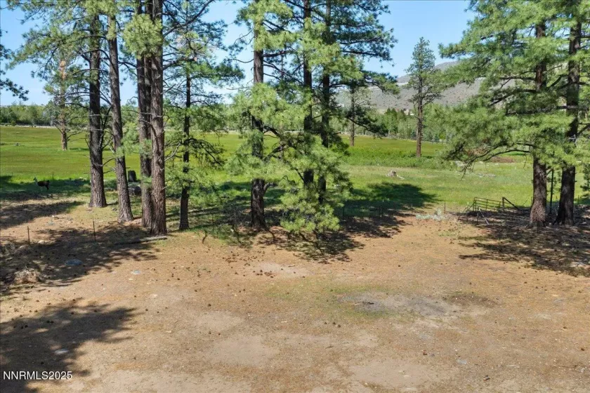 16205 Callahan, Reno, Nevada 89511, 3 Bedrooms Bedrooms, ,2 BathroomsBathrooms,Residential,Residential,Callahan,250050627