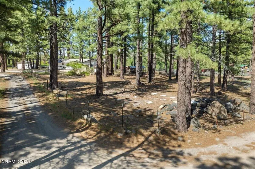 16205 Callahan, Reno, Nevada 89511, 3 Bedrooms Bedrooms, ,2 BathroomsBathrooms,Residential,Residential,Callahan,250050627
