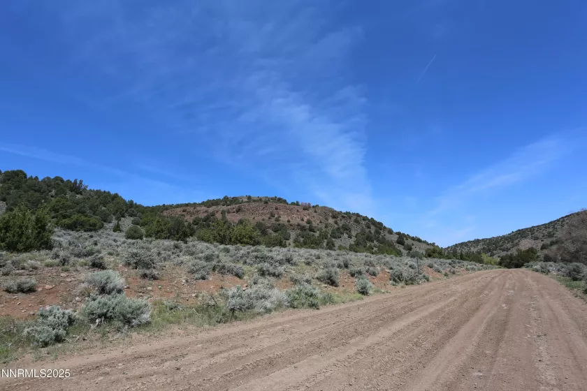 2320 Lousetown, Reno, Nevada 89521, ,Land,Residential,Lousetown,250050629