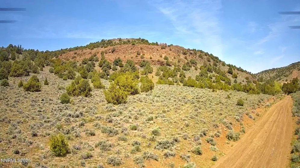 2320 Lousetown, Reno, Nevada 89521, ,Land,Residential,Lousetown,250050629