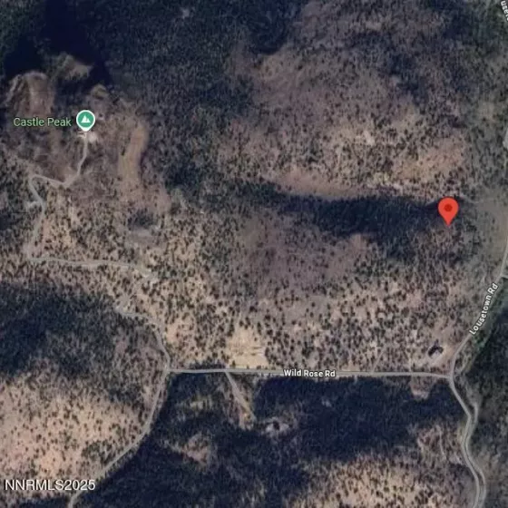 2320 Lousetown, Reno, Nevada 89521, ,Land,Residential,Lousetown,250050629