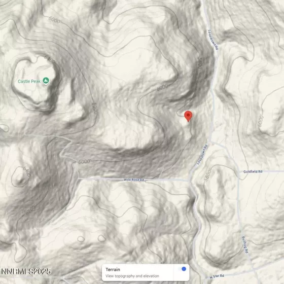 2320 Lousetown, Reno, Nevada 89521, ,Land,Residential,Lousetown,250050629