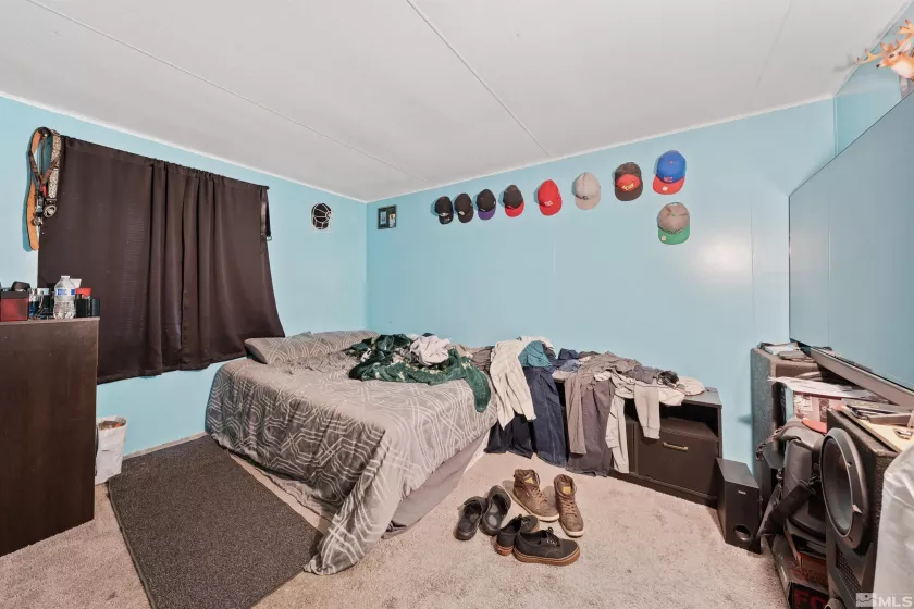 788 Chari, Moundhouse, Nevada 89706, 3 Bedrooms Bedrooms, ,2 BathroomsBathrooms,Residential,Residential,Chari,250001500