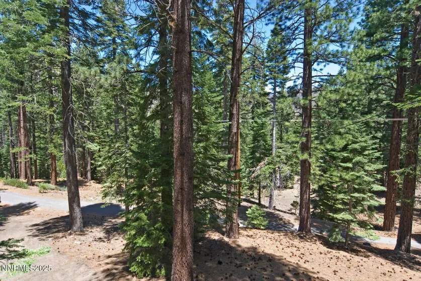 499 Shay Creek, Markleeville, California 96120, 2 Bedrooms Bedrooms, ,1 BathroomBathrooms,Residential,Residential,Shay Creek,250050646