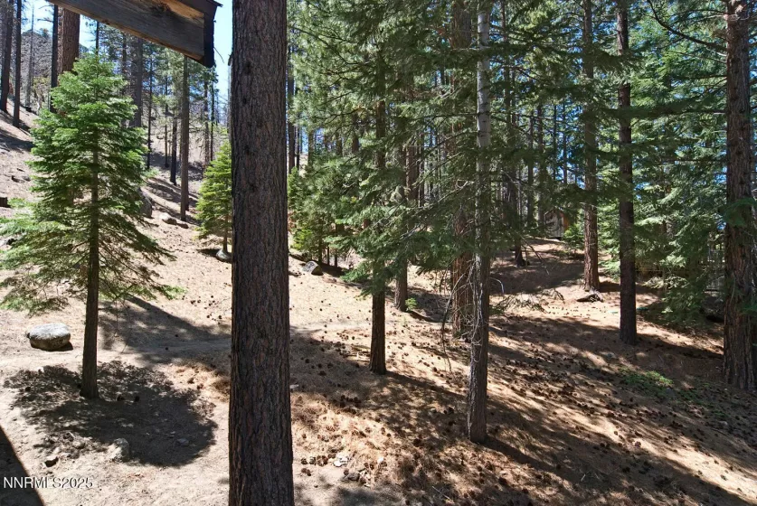 499 Shay Creek, Markleeville, California 96120, 2 Bedrooms Bedrooms, ,1 BathroomBathrooms,Residential,Residential,Shay Creek,250050646