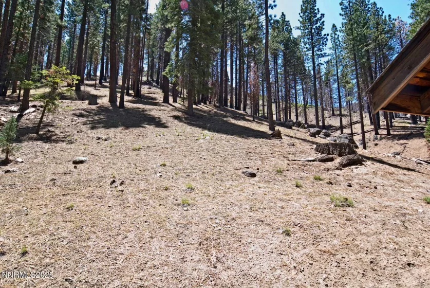 499 Shay Creek, Markleeville, California 96120, 2 Bedrooms Bedrooms, ,1 BathroomBathrooms,Residential,Residential,Shay Creek,250050646