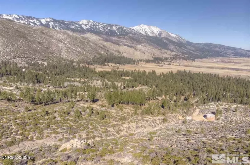 7300 Pine Canyon, Washoe Valley, Nevada 89704, ,Land,Residential,Pine Canyon,250050687