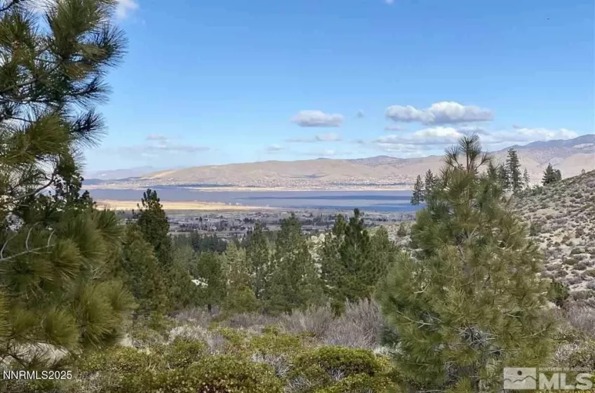 7300 Pine Canyon, Washoe Valley, Nevada 89704, ,Land,Residential,Pine Canyon,250050687