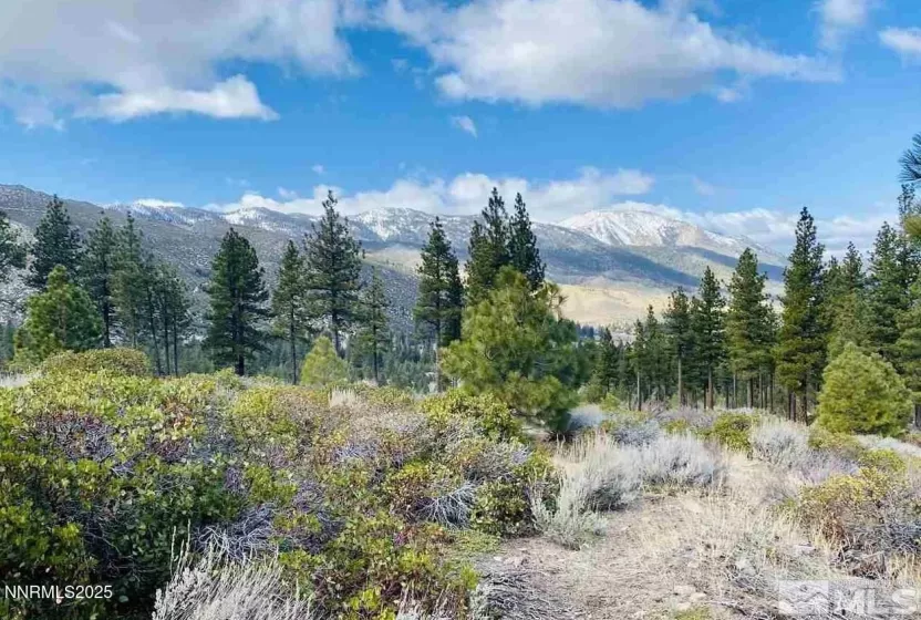 7300 Pine Canyon, Washoe Valley, Nevada 89704, ,Land,Residential,Pine Canyon,250050687