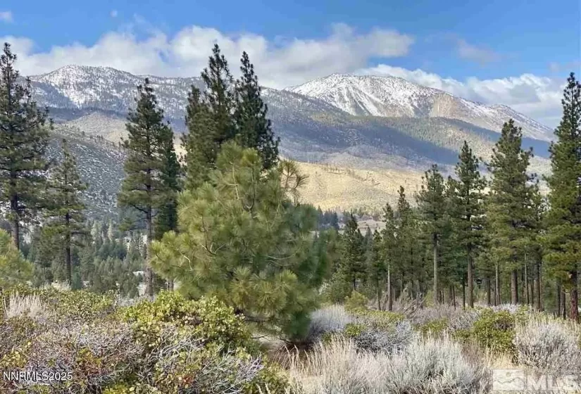 7300 Pine Canyon, Washoe Valley, Nevada 89704, ,Land,Residential,Pine Canyon,250050687