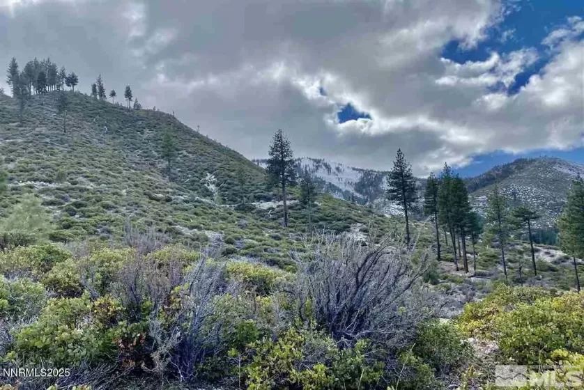 7300 Pine Canyon, Washoe Valley, Nevada 89704, ,Land,Residential,Pine Canyon,250050687